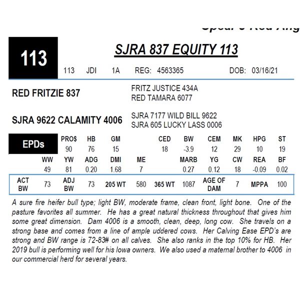 SJRA 837 EQUITY 113