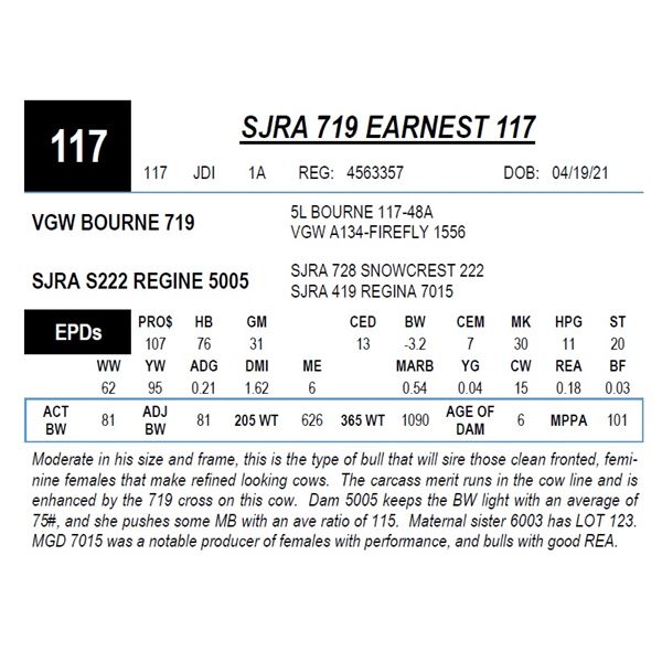 SJRA 719 EARNEST 117