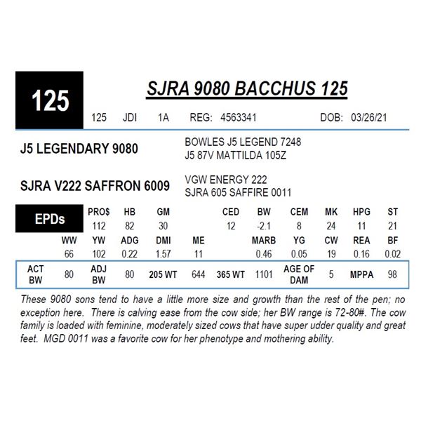 SJRA 9080 BACCHUS 125