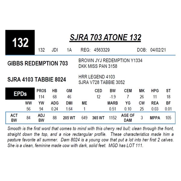 SJRA 703 ATONE 132