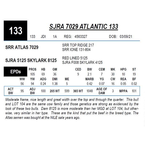 SJRA 7029 ATLANTIC 133