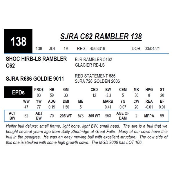 SJRA C62 RAMBLER 138