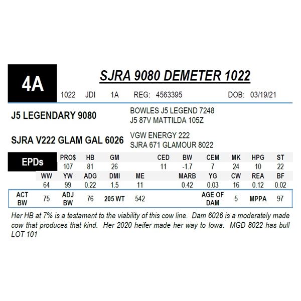 SJRA 9080 DEMETER 1022