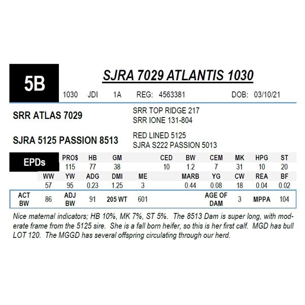 SJRA 7029 ATLANTIS 1030