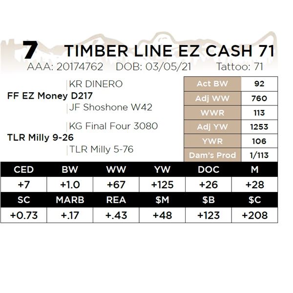 TIMBER LINE EZ CASH 71