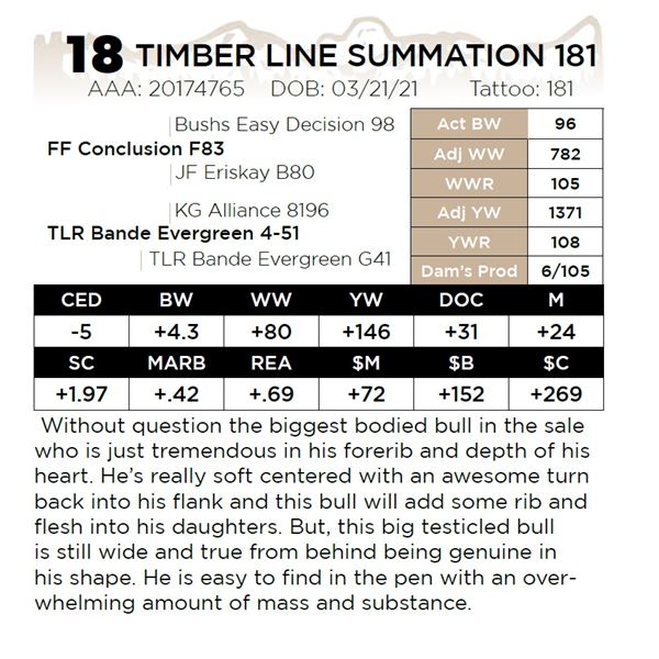 TIMBER LINE SUMMATION 181