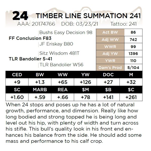 TIMBER LINE SUMMATION 241