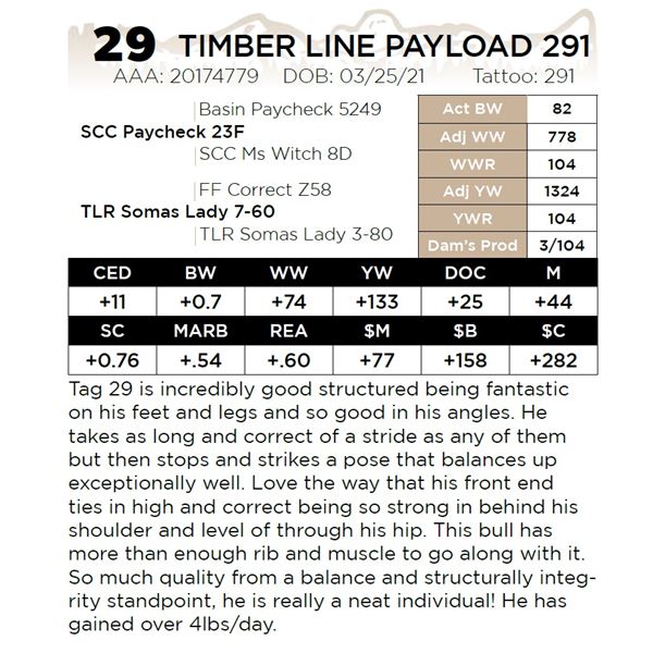 TIMBER LINE PAYLOAD 291