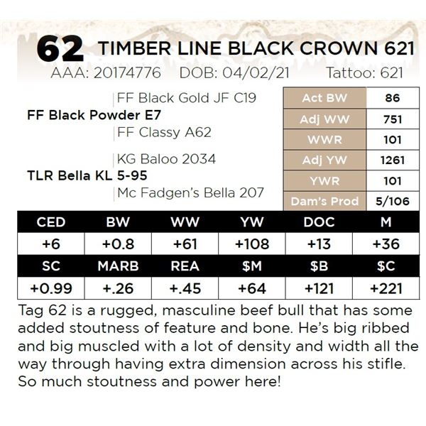 TIMBER LINE BLACK CROWN 621