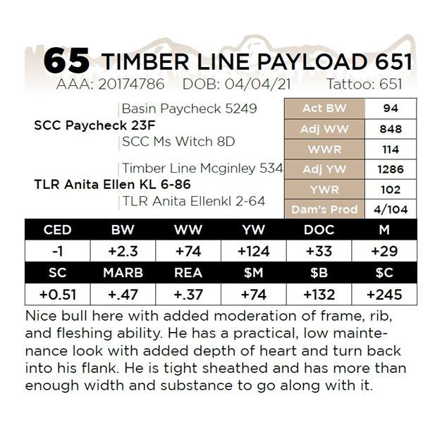 TIMBER LINE PAYLOAD 651