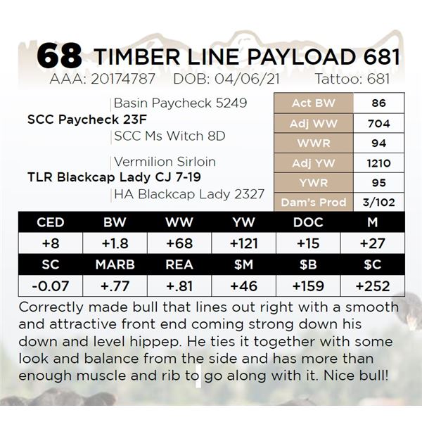 TIMBER LINE PAYLOAD 681