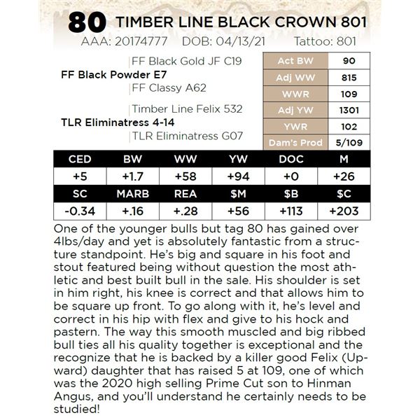 TIMBER LINE BLACK CROWN 801