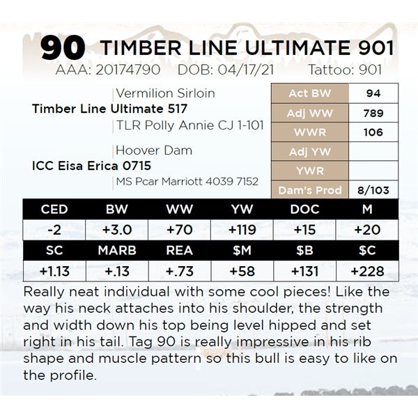 TIMBER LINE ULTIMATE 901