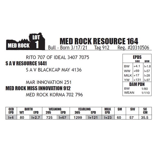 MED ROCK RESOURCE 164