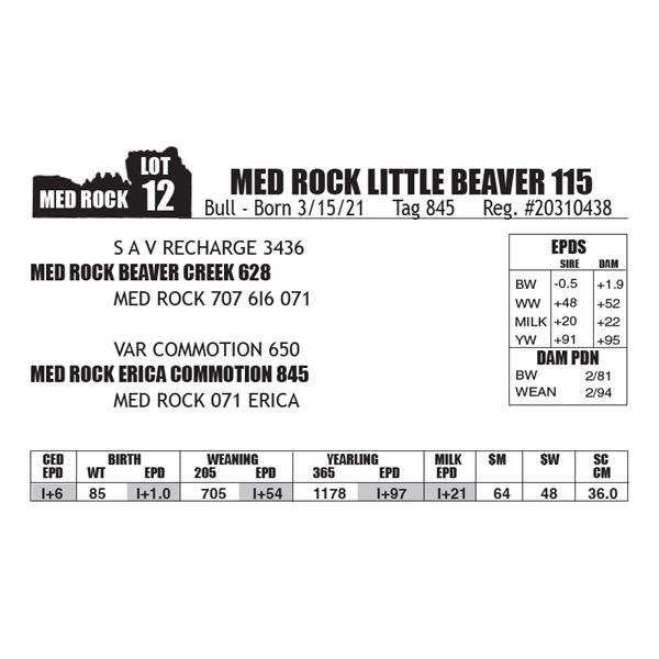 MED ROCK LITTLE BEAVER 115