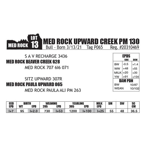 MED ROCK UPWARD CREEK PM 130