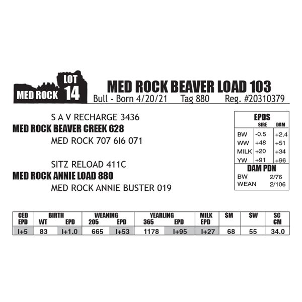 MED ROCK BEAVER LOAD 103