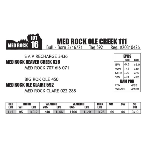 MED ROCK OLE CREEK 111