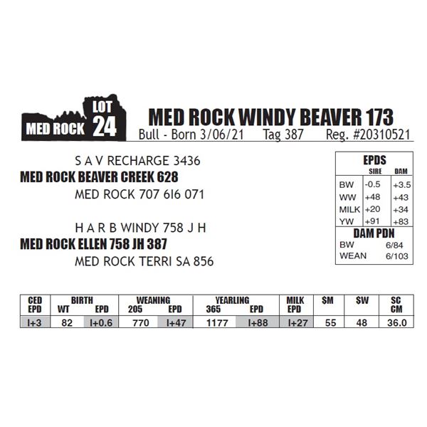 MED ROCK WINDY BEAVER 173