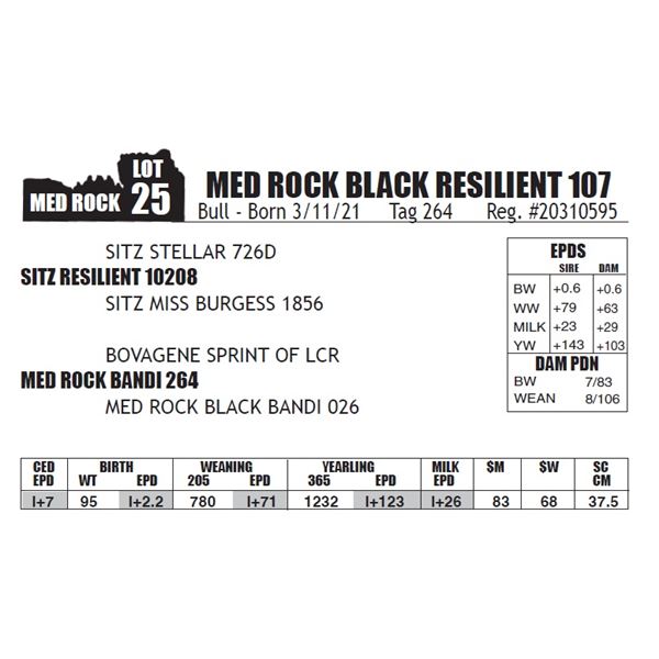 MED ROCK BLACK RESILIENT 107