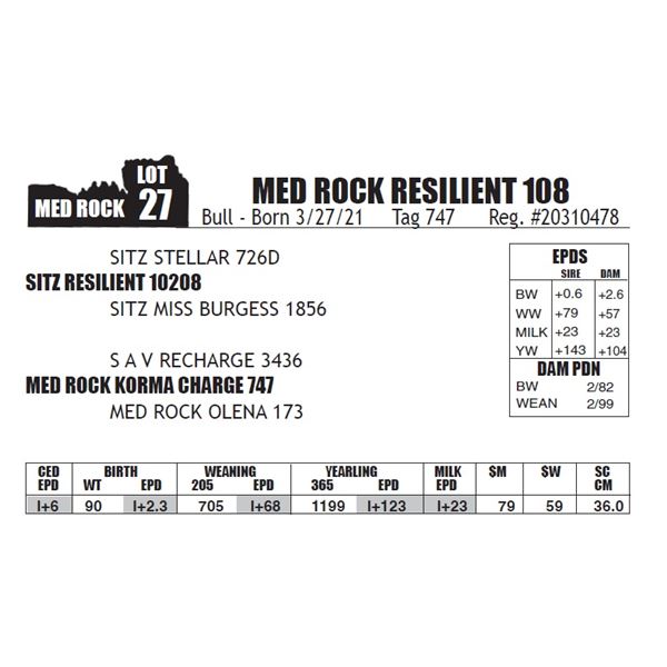 MED ROCK RESILIENT 108