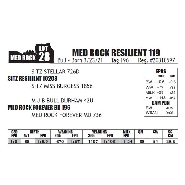 MED ROCK RESILIENT 119