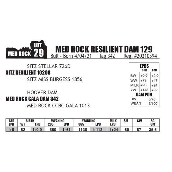 MED ROCK RESILIENT DAM 129