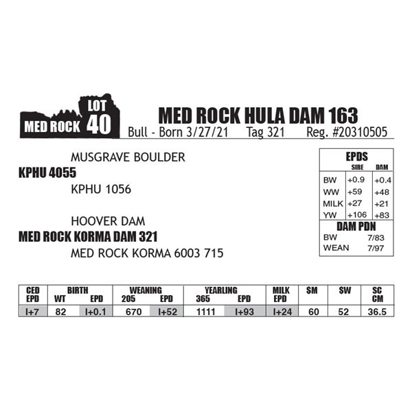 MED ROCK HULA DAM 163