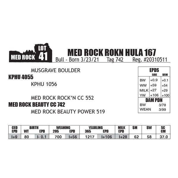 MED ROCK ROKN HULA 167