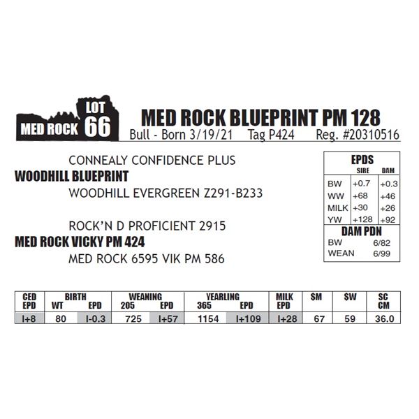 MED ROCK BLUEPRINT PM 128