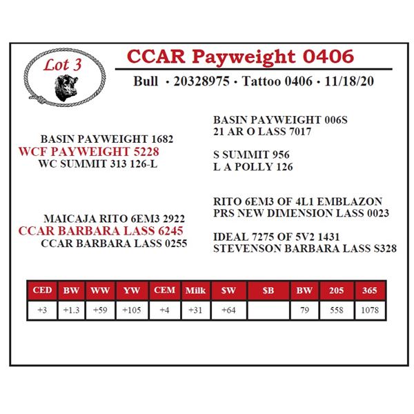 CCAR Payweight 0406