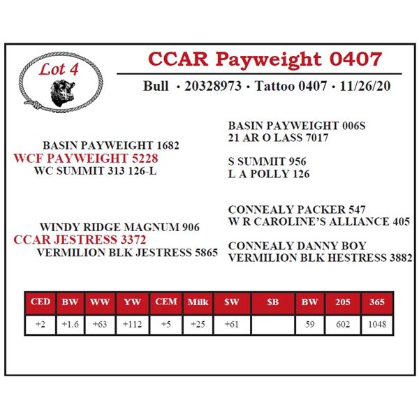 CCAR Payweight 0407