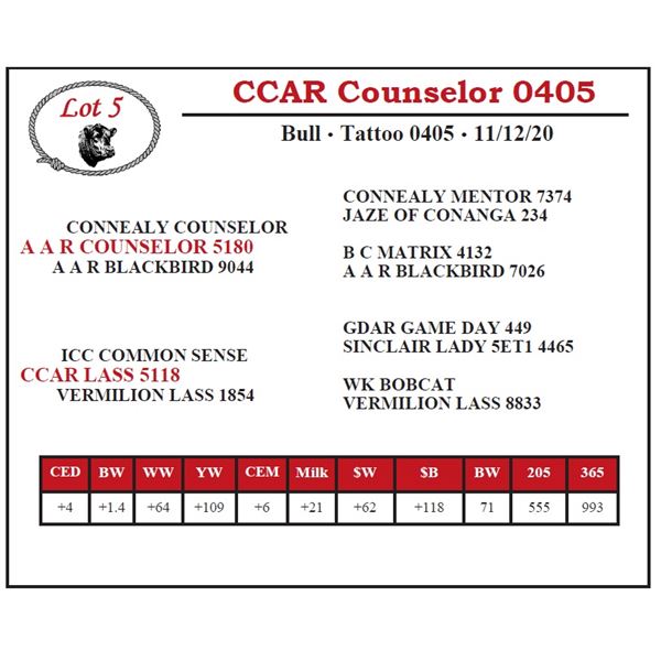 CCAR Counselor 0405