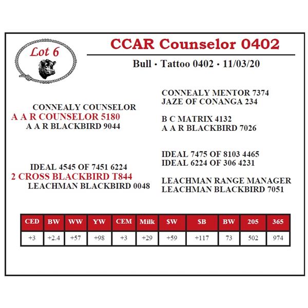 CCAR Counselor 0402