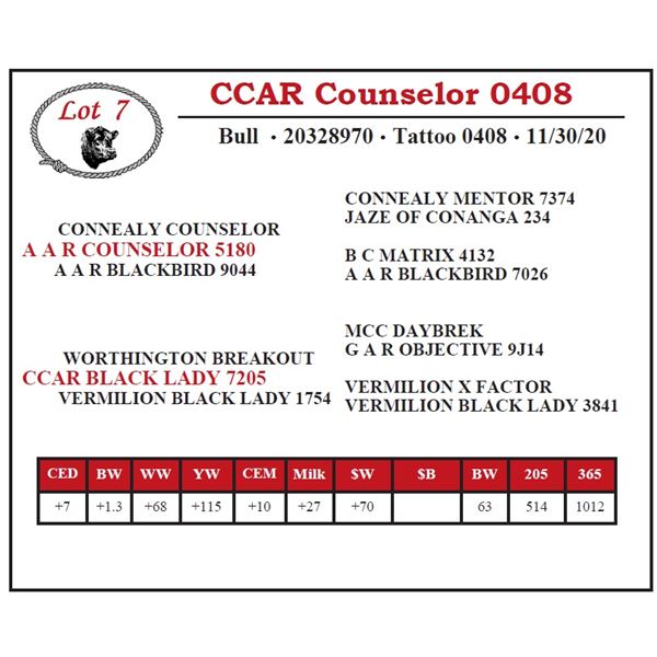 CCAR Counselor 0408