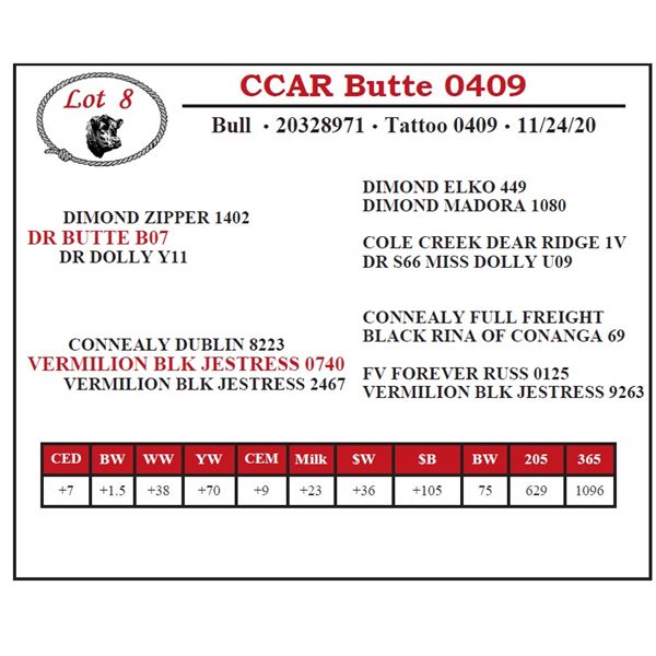 CCAR Butte 0409