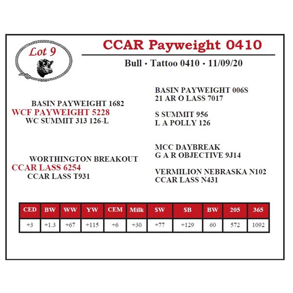 CCAR Payweight 0410