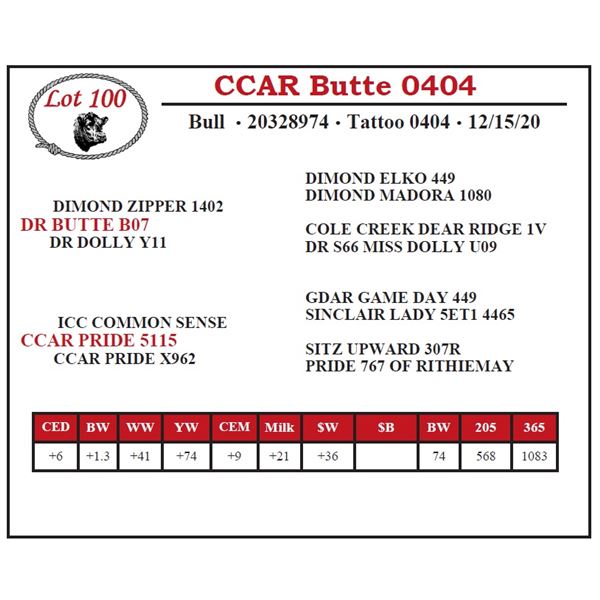 CCAR Butte 0404