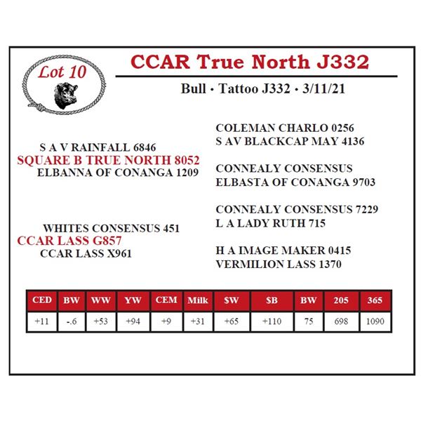 CCAR True North J332