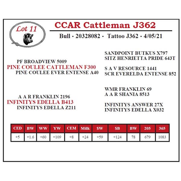 CCAR Cattleman J362