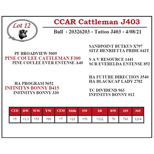 CCAR Cattleman J403