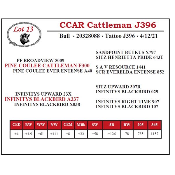 CCAR Cattleman J396