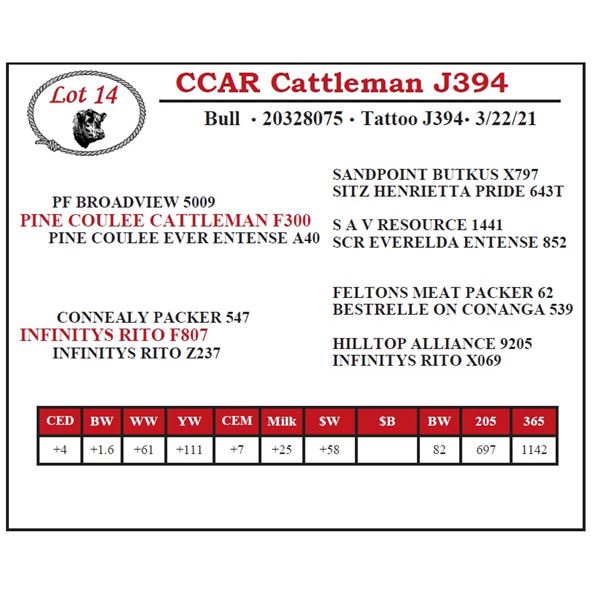 CCAR Cattleman J394