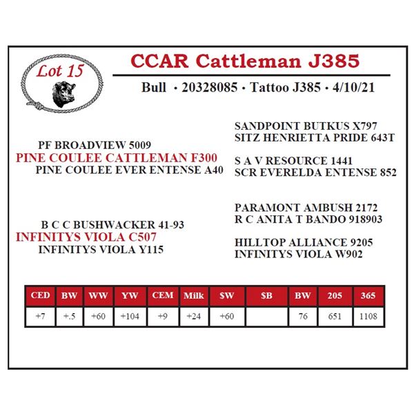 CCAR Cattleman J385