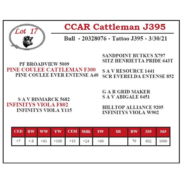 CCAR Cattleman J395