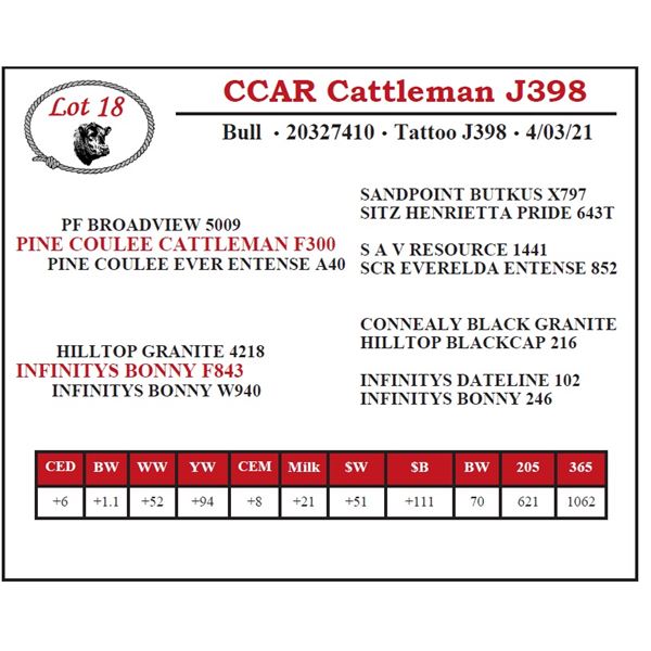 CCAR Cattleman J398