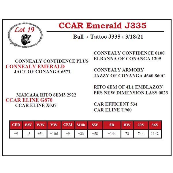 CCAR Emerald J335