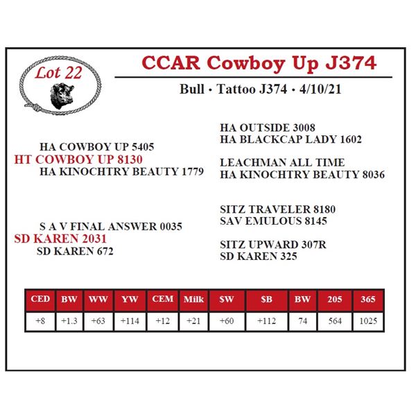 CCAR Cowboy Up J374