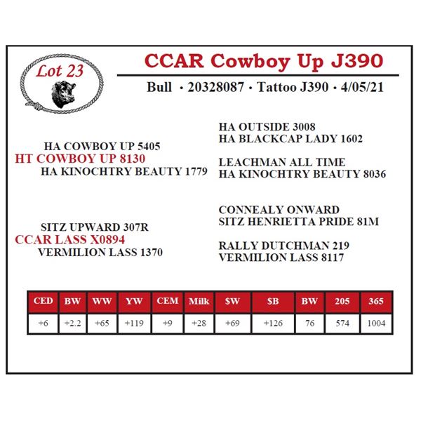 CCAR Cowboy Up J390