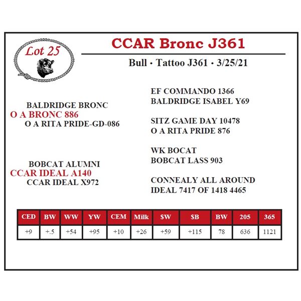 CCAR Bronc J361